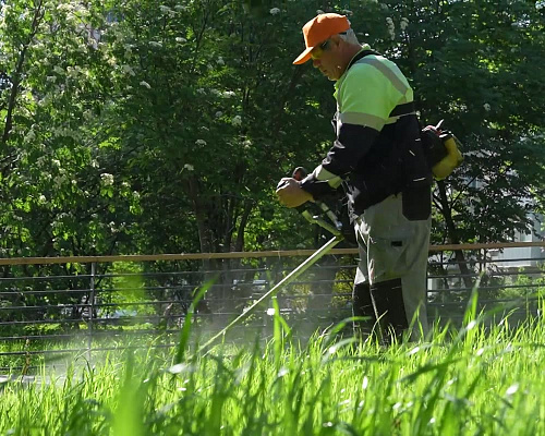 🌳 В Пушкинском 30 общественных пространств общей площадью более 1,8 млн кв. м - это парки, скверы, площади, которые ежедневно посещают тысячи жителей…