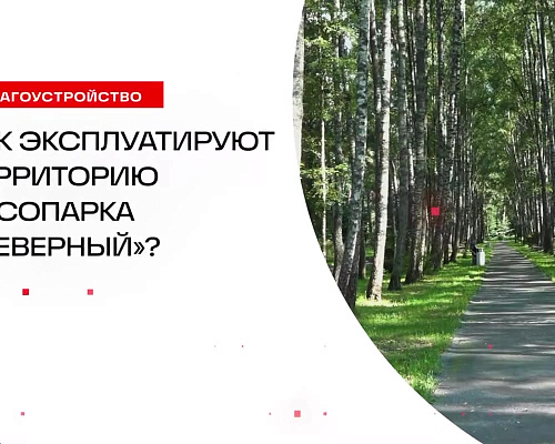 Оценил, как содержится территория лесопарка «Северный» в Пушкино. Осмотрел состояние газонов, дорожек и всех элементов благоустройства. На 54 гектарах есть…